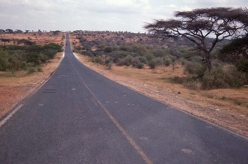 WT 1400 206-37 Kenya.jpg